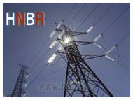 ELECTRIC INDUSTRY HNBR